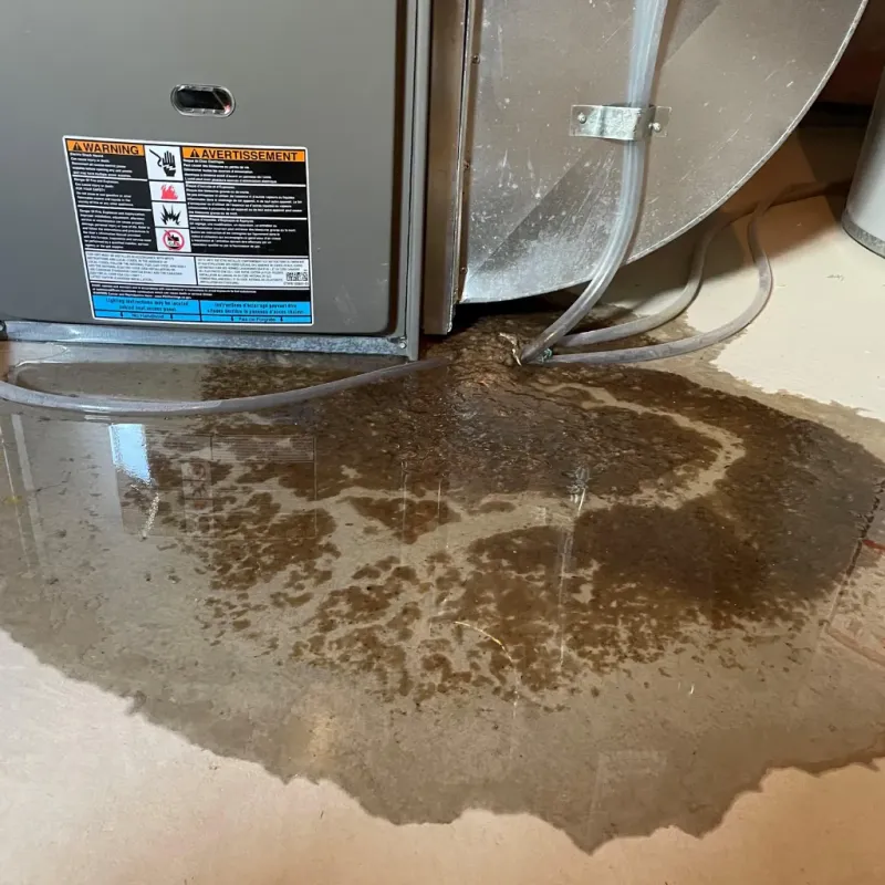 Appliance Leak Cleanup in Daviess County, IN